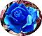 blue77roses's Avatar