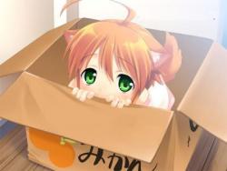 ShySweetie's Avatar