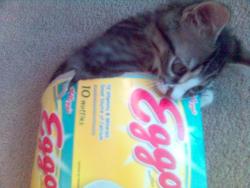 submissive_1's Avatar