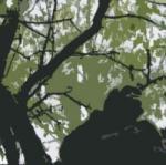 primateself's Avatar