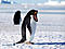 ThePingus