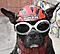 GarrickBailley's Avatar